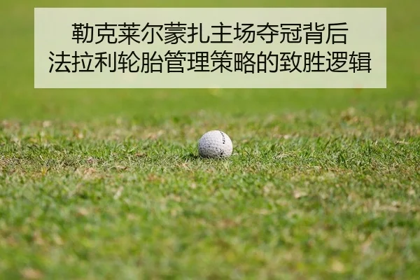 lei-ke-lai-er-meng-zha-zhu-chang-duo-guan-bei-hou-fa-la-li-lun-tai-guan-li-ce-lve-de-zhi-sheng-luo-ji-2-500.jpg